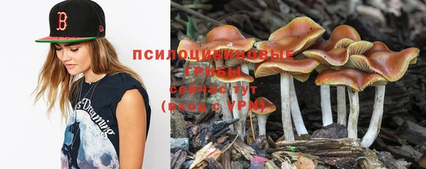 MDMA Premium VHQ Беломорск